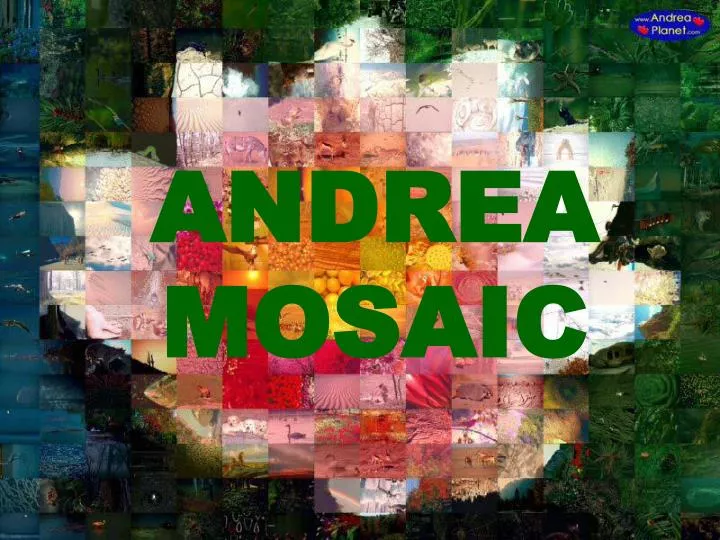 andrea mosaic