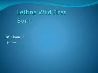 Letting Wild Fires Burn