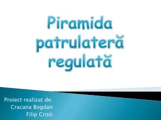 proiect realizat de cracana bogdan filip cristi
