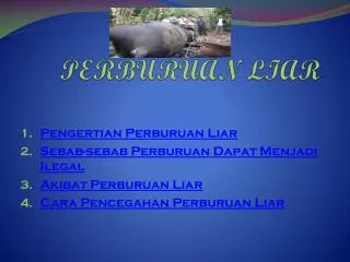 perburuan liar
