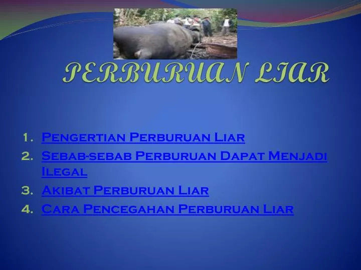 perburuan liar