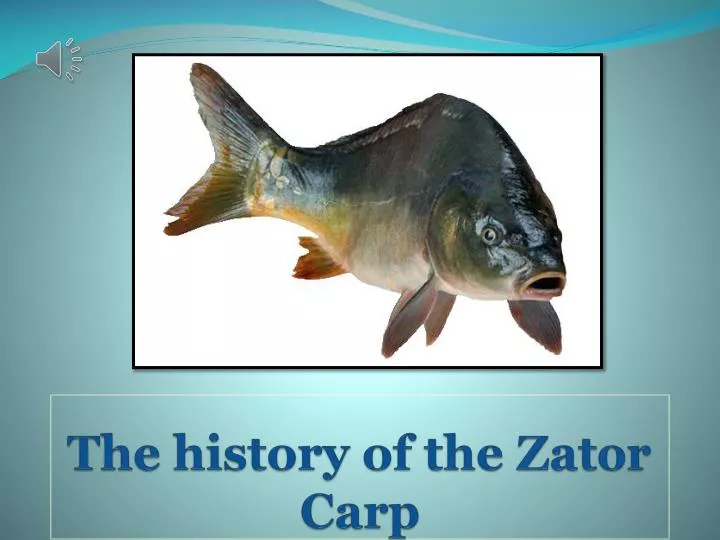 the history of the zator carp