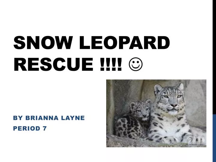 snow leopard rescue
