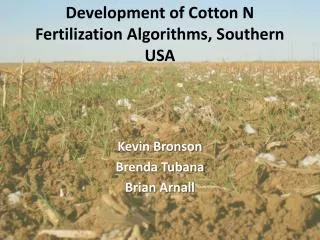 Development of Cotton N Fertilization Algorithms, Southern USA