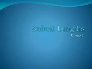 Animal Lengths