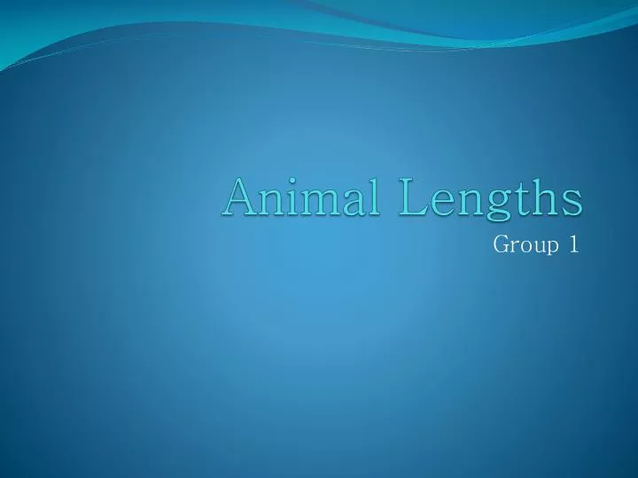 animal lengths