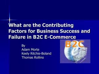 What are the Contributing Factors for Business Success and Failure in B2C E-Commerce