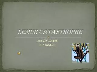 Lemur catastrophe
