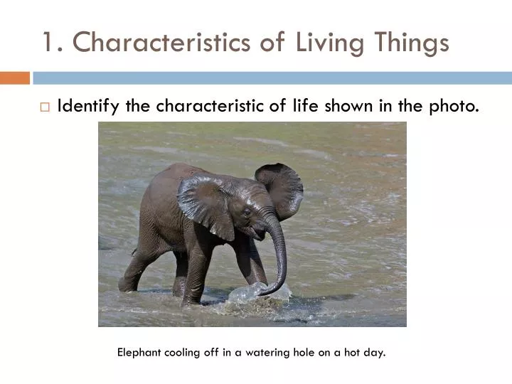 1 characteristics of living things