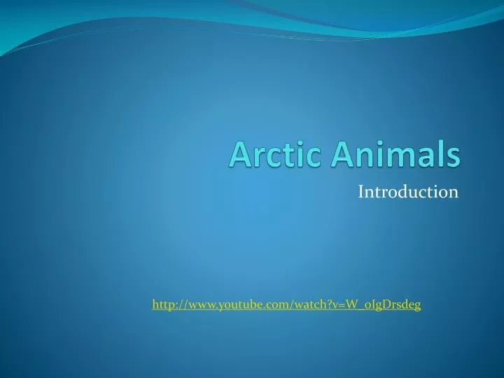 arctic animals