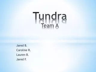 Tundra Team A