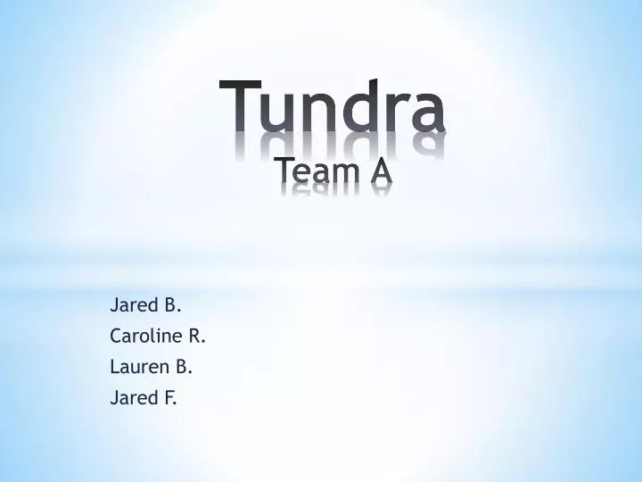 tundra team a