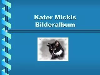 kater mickis bilderalbum