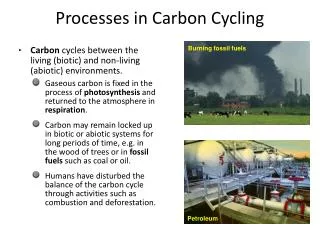 Processes in Carbon Cycling