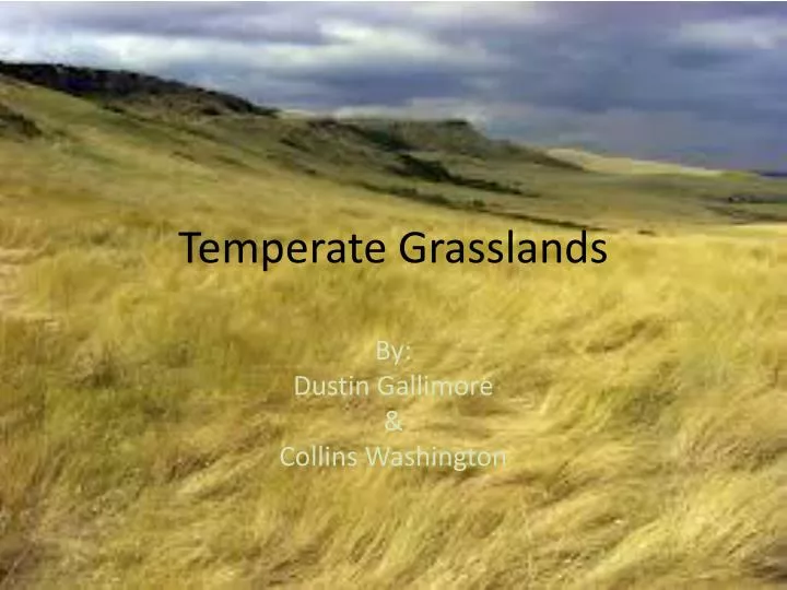 temperate grasslands