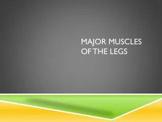 Major Muscles of the Legs