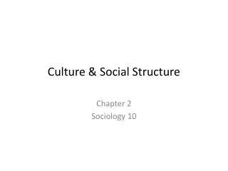 Culture &amp; Social Structure