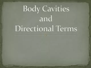 Body Cavities and Directional Terms