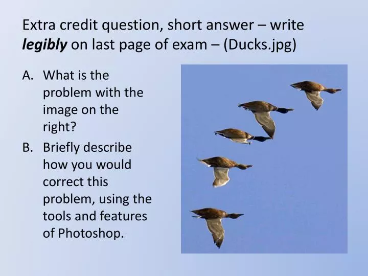 extra credit question short answer write legibly on last page of exam ducks jpg