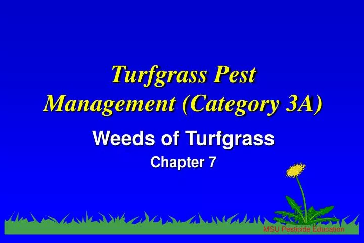 turfgrass pest management category 3a