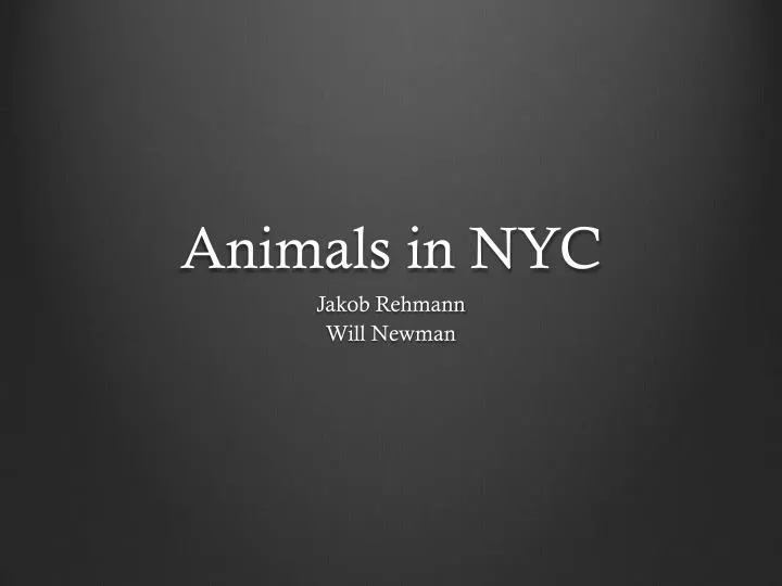animals in nyc