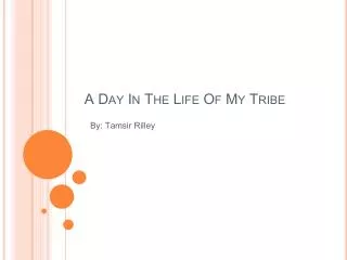 A Day In The Life Of My Tribe