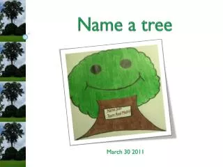 Name a tree