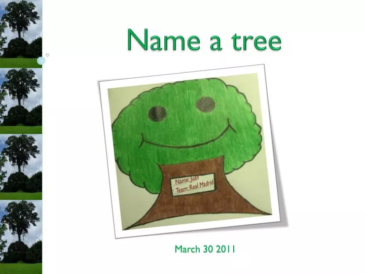 name a tree