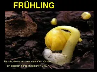 fr hling