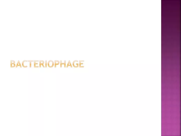 bacteriophage