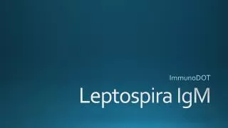 Leptospira IgM