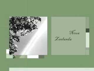 noua zeelanda