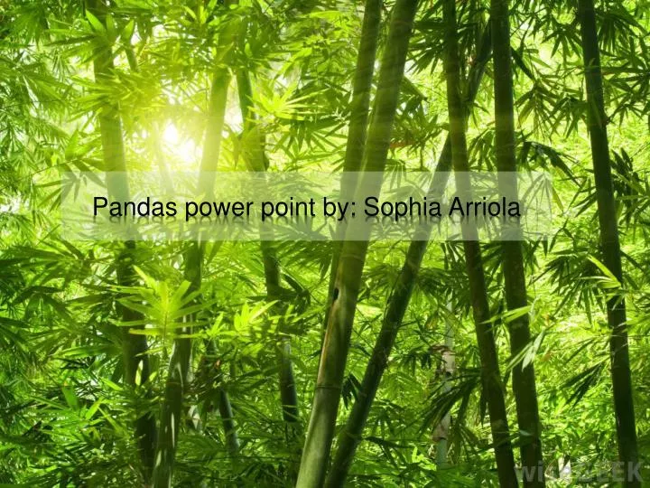 pandas power point by sophia arriola