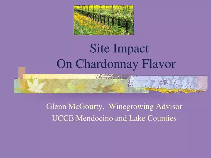 site impact on chardonnay flavor