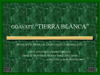 ggavatt tierra blanca