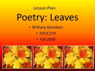 Poetry: Leaves