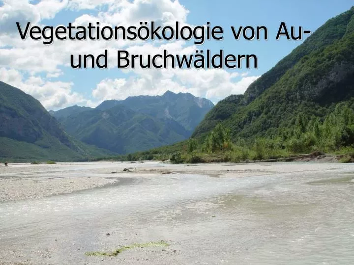 vegetations kologie von au und bruchw ldern