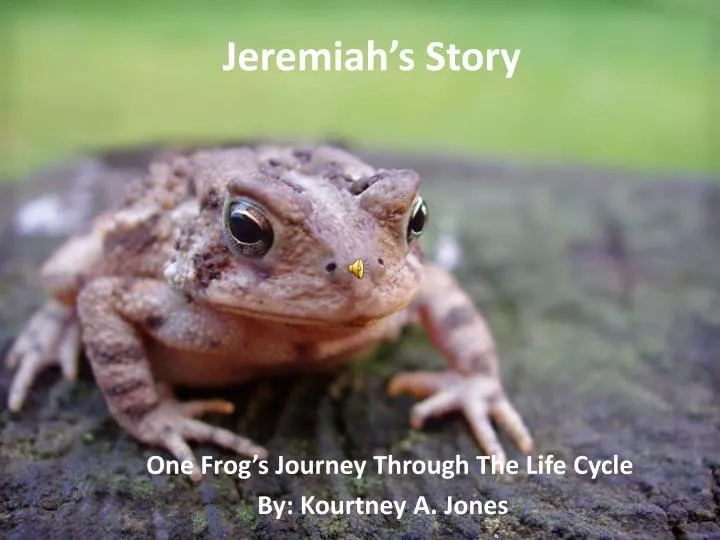 jeremiah s story