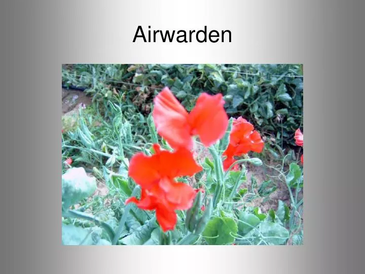 airwarden