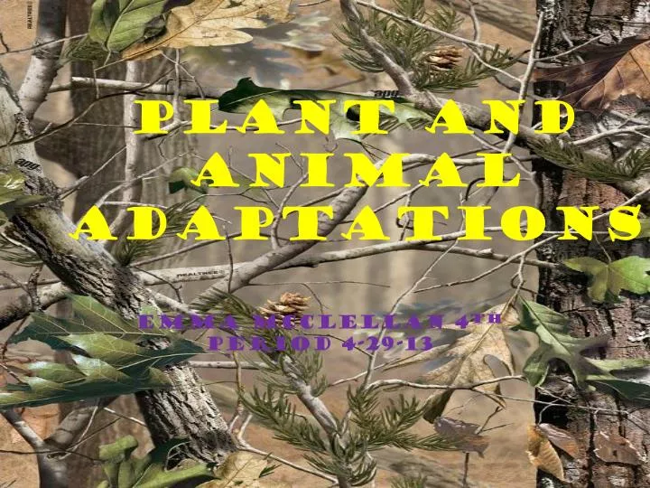 plant and animal adaptations
