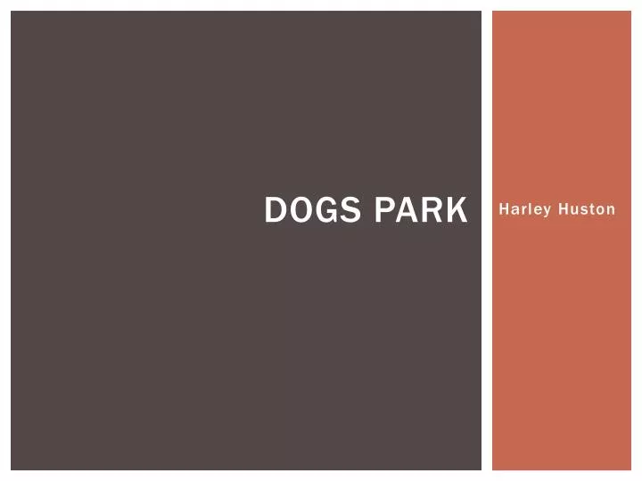 dogs park