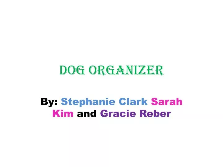 dog organizer