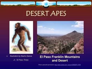 DESERT APES