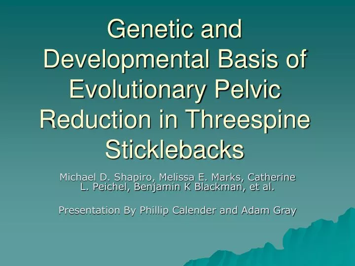 genetic and developmental basis of evolutionary pelvic reduction in threespine sticklebacks