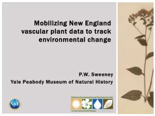 P.W. Sweeney Yale Peabody Museum of Natural History