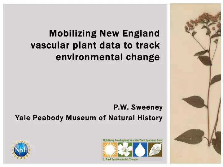 p w sweeney yale peabody museum of natural history