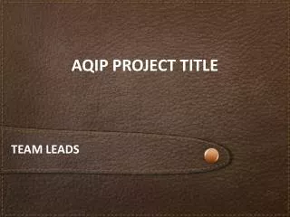 AQIP PROJECT TITLE