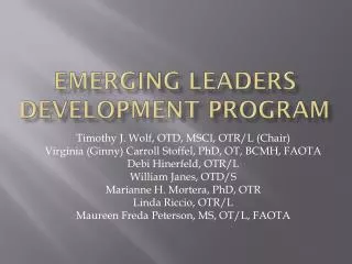 Emerging leaders development program