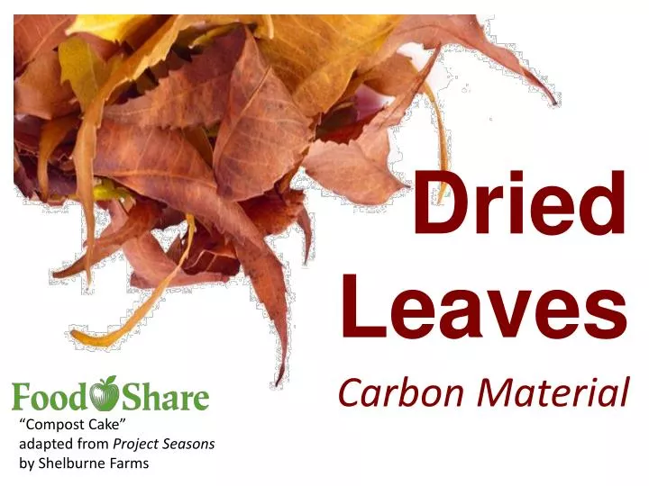 dried leaves
