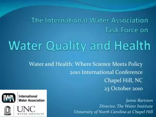 The International Water Association Task Force on